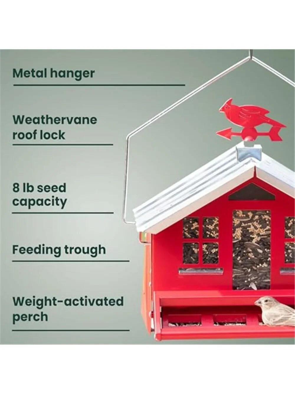 Squirrel-Be-Gone II Country Style Bird Feeder,8 lb Seed Capacity |Squirrel Proof